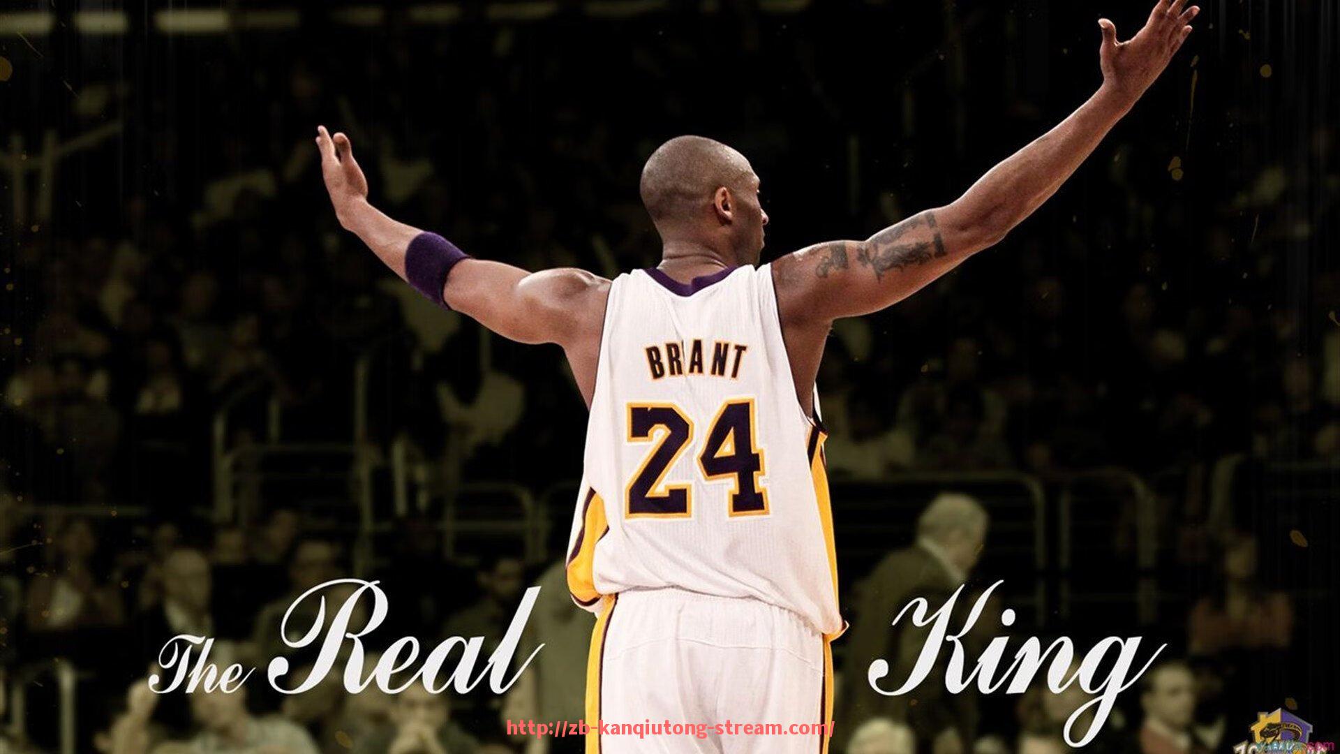 看球通-凤凰健身器材品牌介绍:凤凰品牌健身器材的优势与产品定位